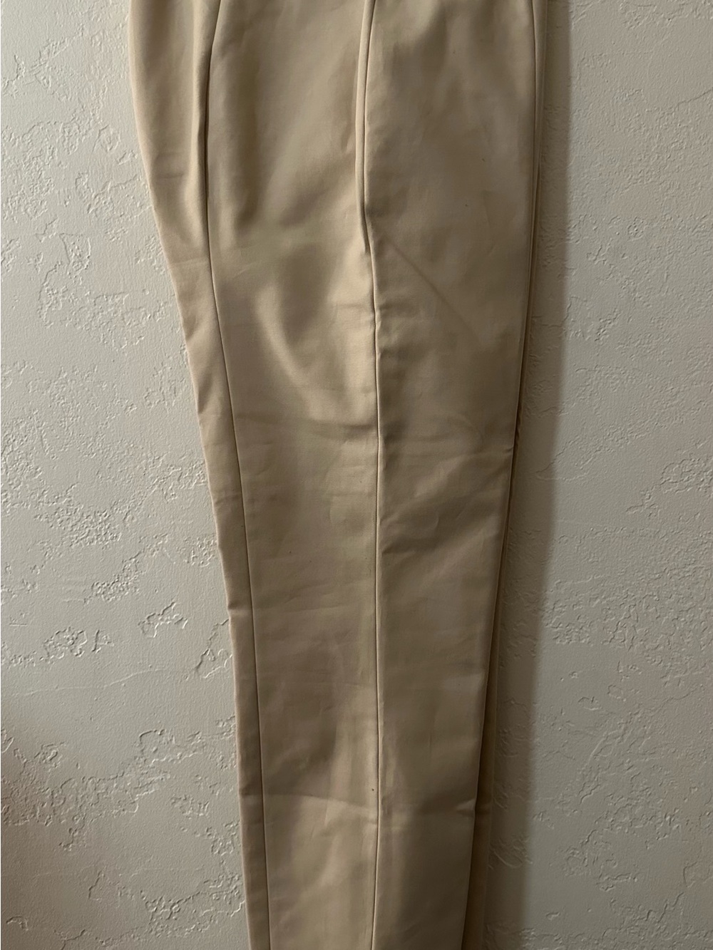 The Row Tailored Chinos in Beige